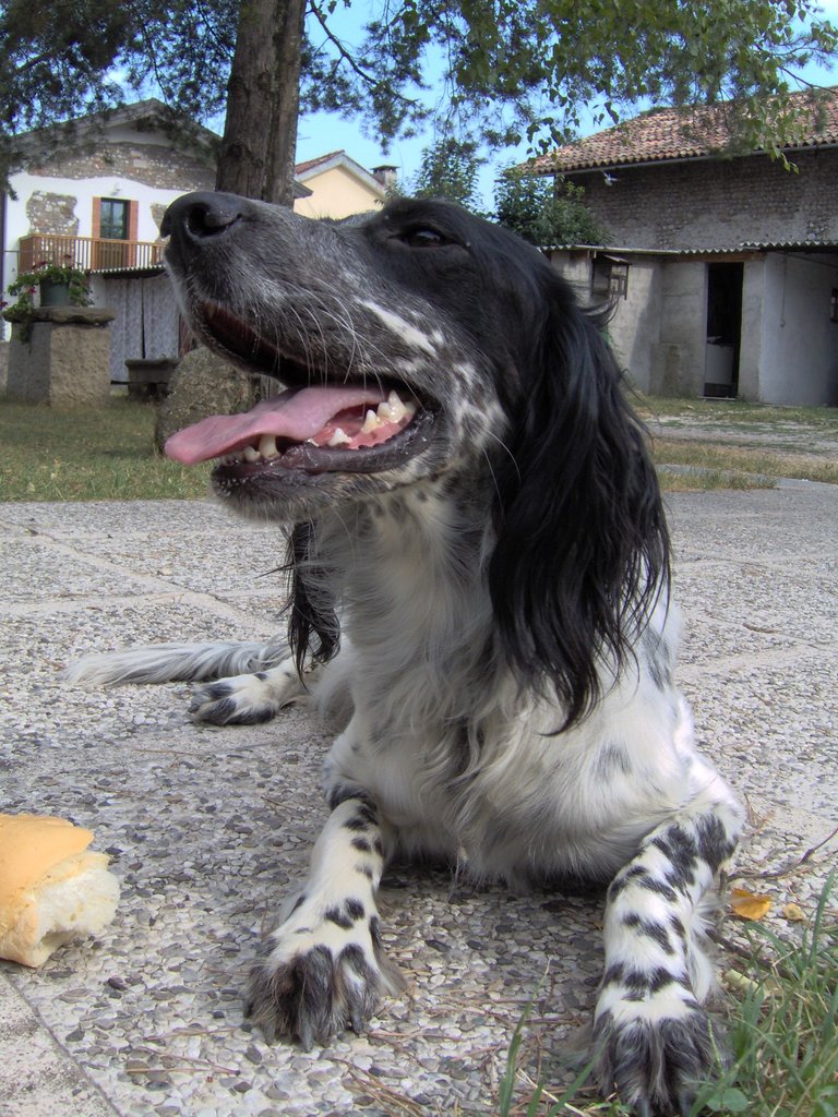 Foto 44